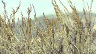 Wonderfully Made - Psalm 139 Short Film