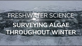 Freshwater Science Teaser: Lake Erie Algae in the Depth of Winter