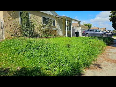 Homeowner Cannot BELIEVE I Told Her THIS About Her OVERGROWN Yard