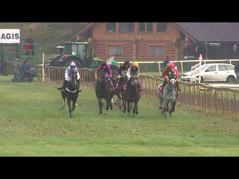 Dostihy Lysá nad Labem 11. 11. 2023 - 6. dostih - Handicap společnosti Affex