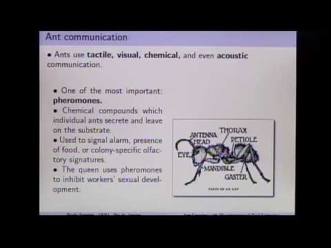 30º CBM -  Equações Diferenciais Parciais - Paulo Verdasca Amorim