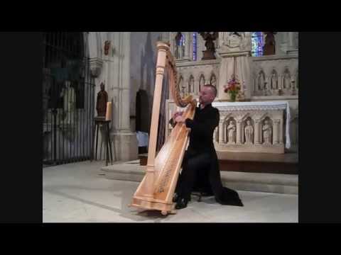 J.S. Bach - Prelude in C - BWV846 played on lever harp