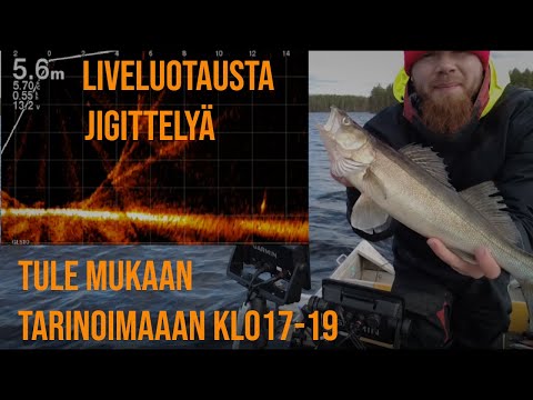 Livelähetys, kalastellaan livescopen avulla ruokakoon kaloja ja turistaan kalastuksesta