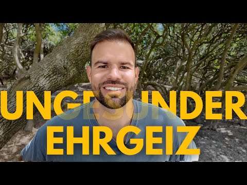 Dein unstillbarer Ehrgeiz: Wie du aufhörst, dich selbst zu zerstören und endlich wieder lebst.