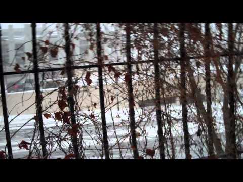 download lagu mp3 mp4 2010 The Year We Forgo Contact, download mp3 2010 The Year We Forgo Contact free downloadn, video klip 2010 The Year We Forgo Contact