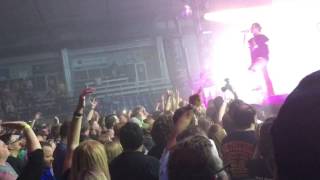 Tripping Daisy - Brown Eyed Pickle Boy