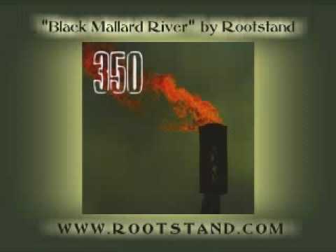 Black Mallard River - Rootstand