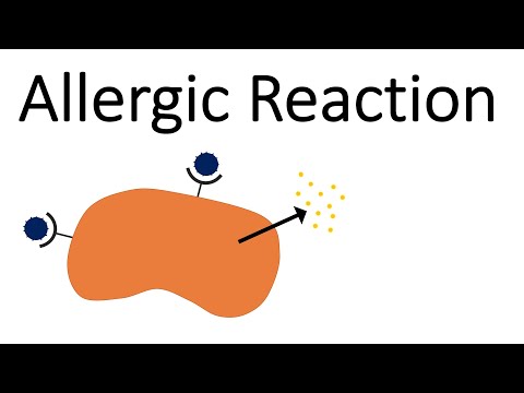 Allergic Reaction - Malfunction of the Immune Response