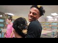 IShowSpeed Adopts A New Dog