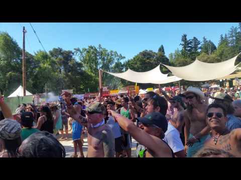 House of shem reggae on the river 2016