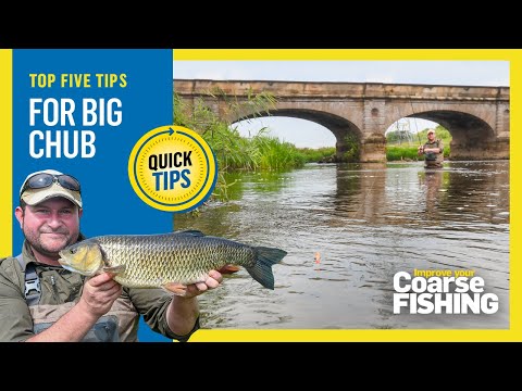 TOP 5 TIPS for big chub