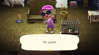 Getting the last cockroach in Animal Crossing: New Horizons after not playing for awhile