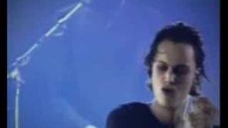 Don&#39;t Fear the Reaper: Ville Valo wideo