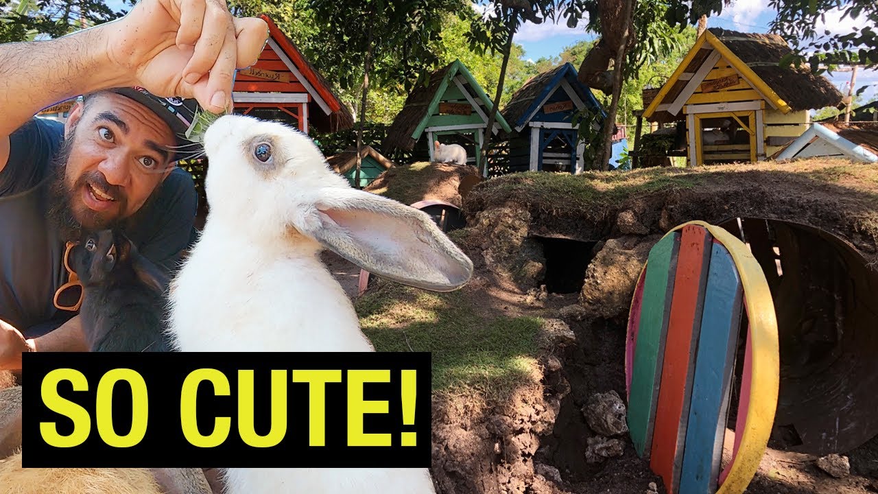 Experience a virtual tour of South Farm through the lens of travelers.