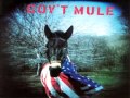 Gov't Mule - World of Difference