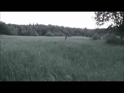 Kornknarr vid Älgkärrstippen