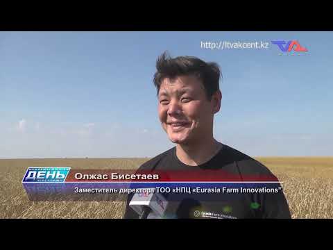 Выпуск программы “День” от 12 сентября 2024г.