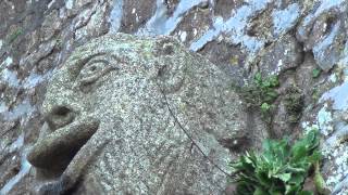 The Reptilian Lizard House and Sean Hross gets Invitation in Dragon Castle after Camping in Garden