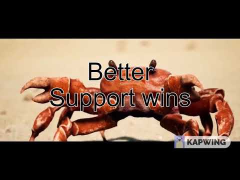 Better Support Wins