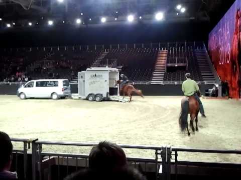 Equitana 2013 - Trab in den Hänger - Uwe Weinzierl