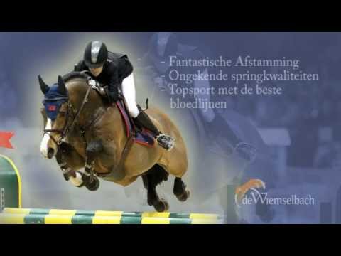 Tornesch / NL / 2013