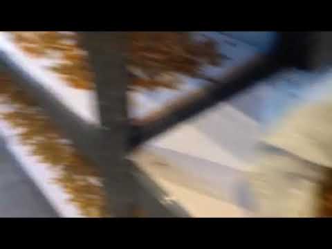 Ferma Domnița Maria