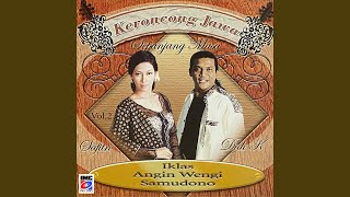 Download lagu Janji Setyo mp3