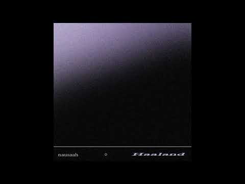 Zeu x Grünt boom bap type beat | "Haaland" (prod.nausaah)