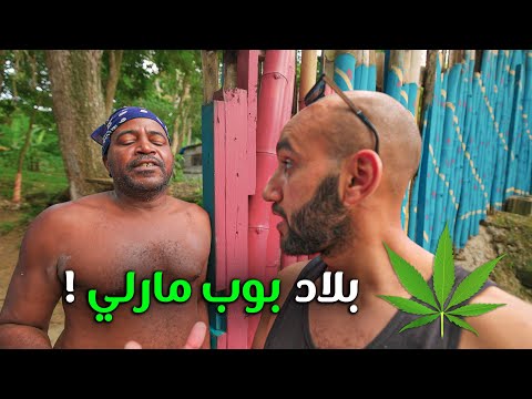 دولة بوب مارلي الخارجة عن السيطرة الكثير من المارجوانا ‍