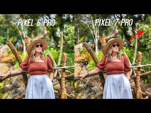 Google Pixel 7 Pro vs Pixel 6 Pro Camera Test: SAME Camera??