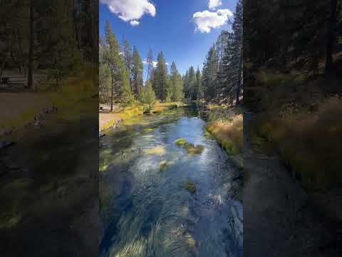 Yellowstone National Park - Old Faithful Geyser Basin - Picture Perfect Stream and Forest