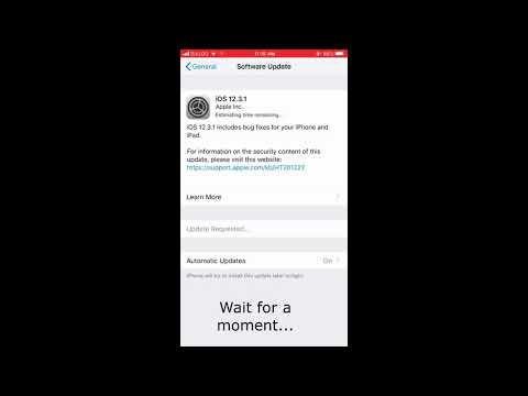 How to upgrade  iOs Version to 12.3.1