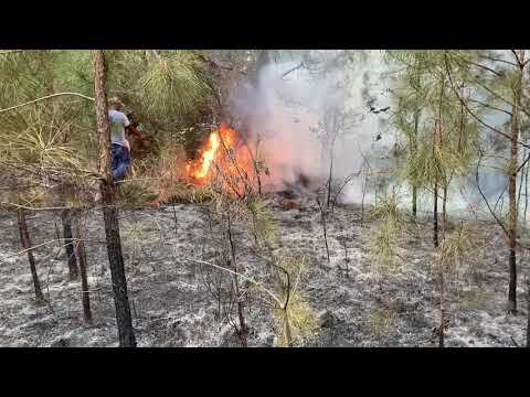 02-27-2021 Sunrise, MS - Brush Fire in Windy Conditions