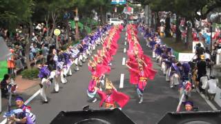 Yosakoi Festival in Kochi Video