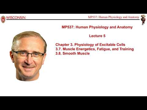 Lecture 5 of Medical Physics 537, Human Physiology and Anatomy, with course instructor Marty Pagel