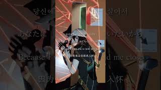 よゐこ / 鳥籠の中で僕たちは、#鳥籠の中で僕たちは、 #TORicago #よゐこ #オリジナル曲