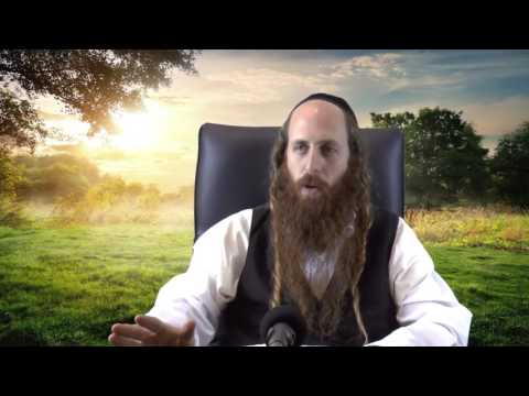 Tehillim (Psalms) and why we pray them