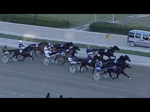 Aversa trotto 8 Febbraio 2020 - 4° Corsa