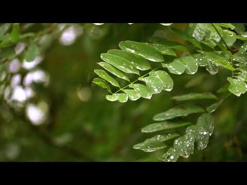 Kolárovice Centrum [Kam ísť?] [www.nbstudio.sk]