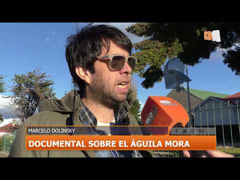 Video: Presentarán en Salta el documental "Vamos al nido"