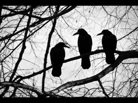 The Three Ravens (Medieval English ballad)