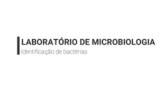 Video Aula 7 - Microbiologia / Identificação de bactérias