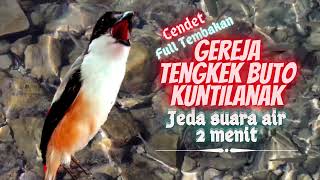 Download lagu Masteran Cendet Full Tengkek Buto, Gereja Tarung, Kuntilanak - Jeda 2 Menit Durasi 1 Jam mp3
