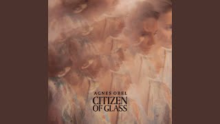 Citizen of Glass