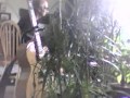 "Painful Blues"...Blind Willie McTell & Ruth Willis - Ross Scordato "Painful Blues"...Blind Willie McTell & Ruth Willis