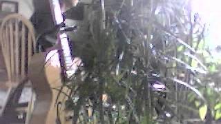 "Painful Blues"...Blind Willie McTell & Ruth Willis