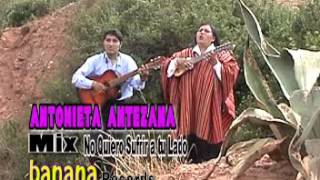 Antonieta Antezana - MIX malvas t'ikita