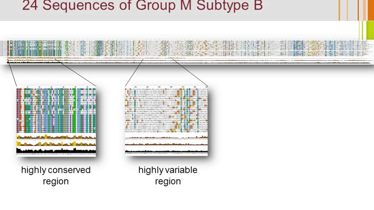 Advanced Peptide Library Generation