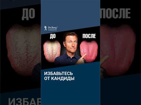 Как избавиться от кандиды за 24 часа — реальный протокол
