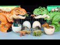 12 DINOSAURS 2 BIG T REX TRICERATOPS STEGOSAURUS ANKYLOSAURUS PTERANODON ASMR DKT 240524
